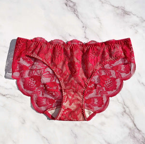 Protea Bikini | Berry